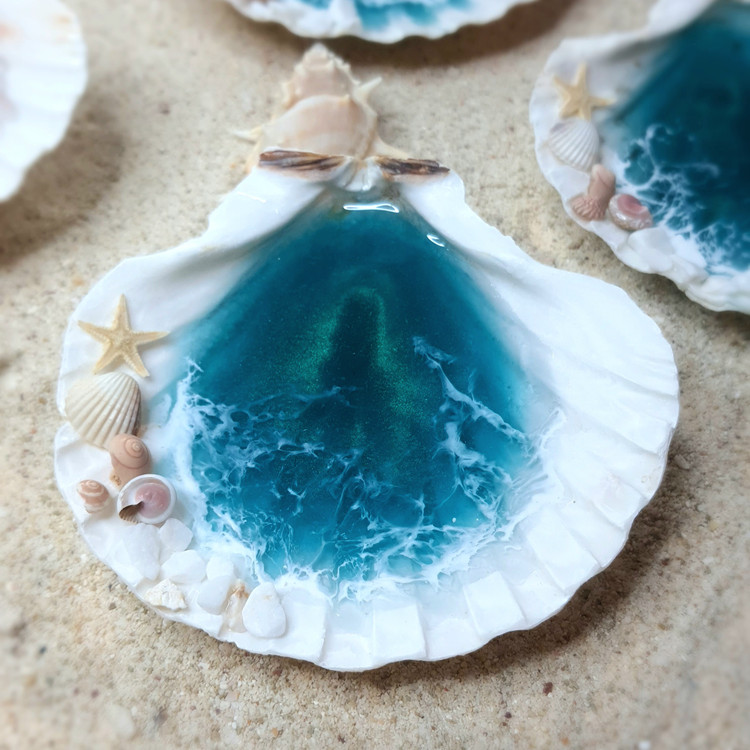 خرید صدف طبیعی برگی طرح دریا و ساحل