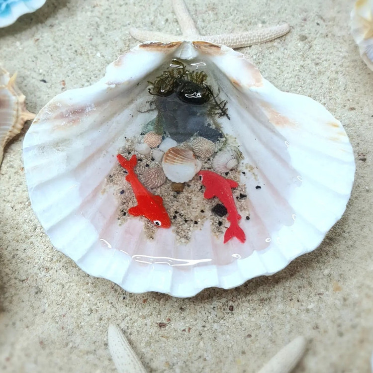 حوضچه ماهی رزینی با صدف طبیعی