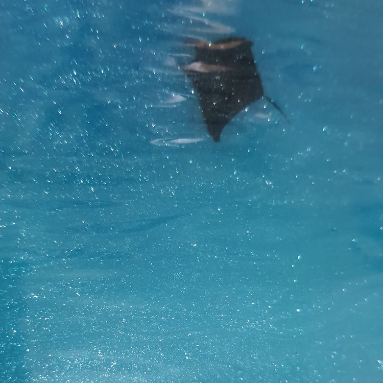 تابلو بزرگ دریا با ساحل طبیعی