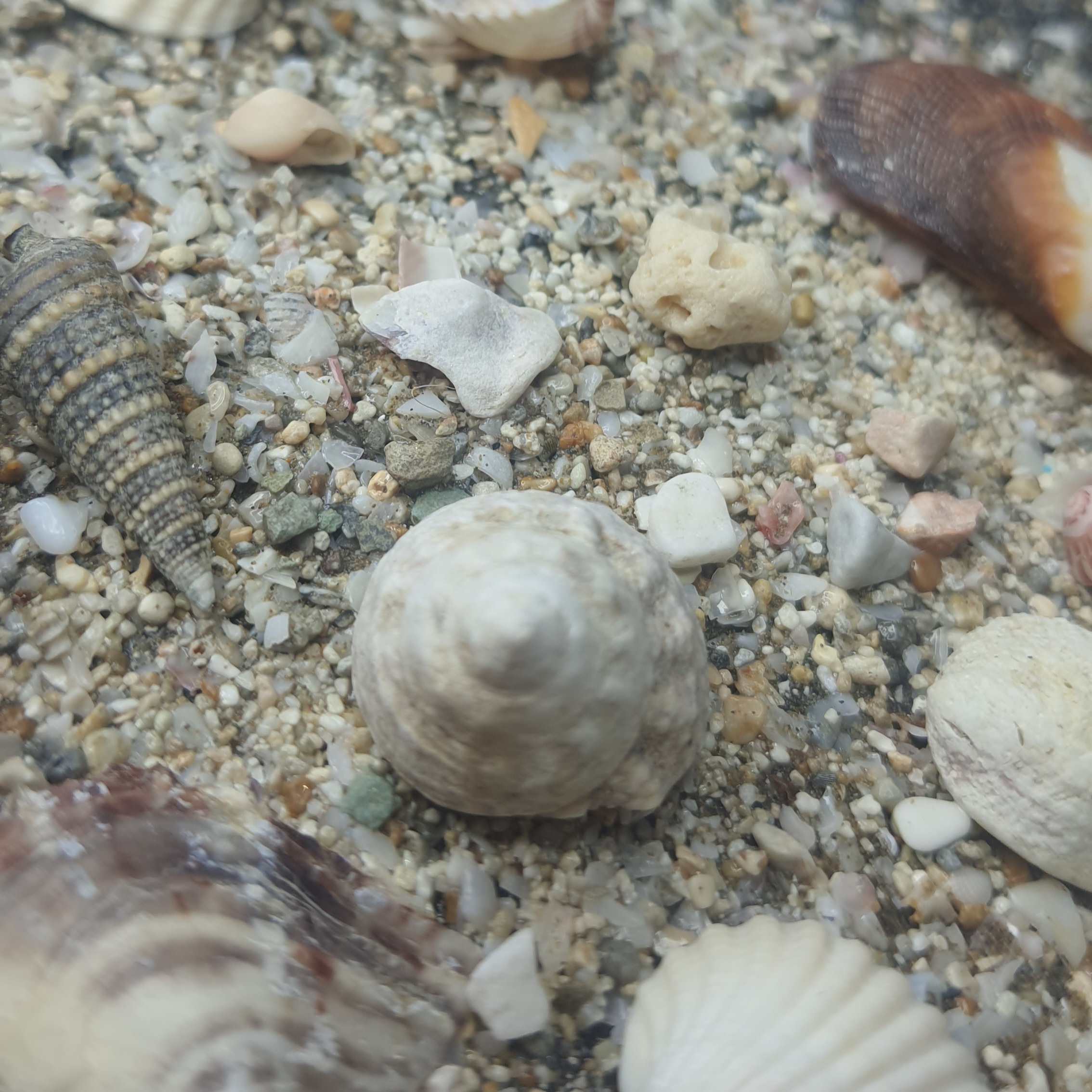 تابلو دریا برجسته