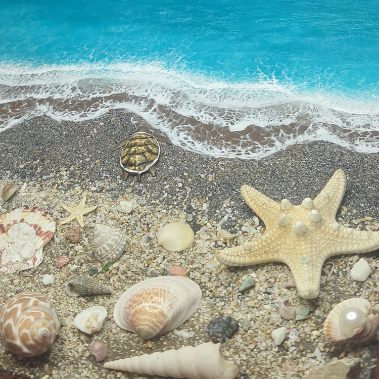 تابلو صدف دریایی