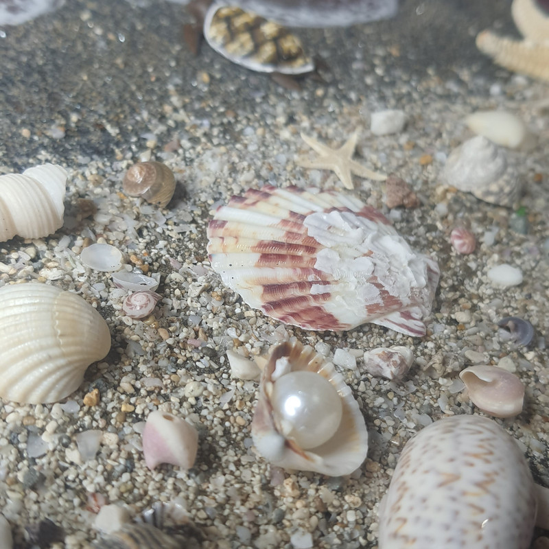 تابلو طبیعت سه بعدی