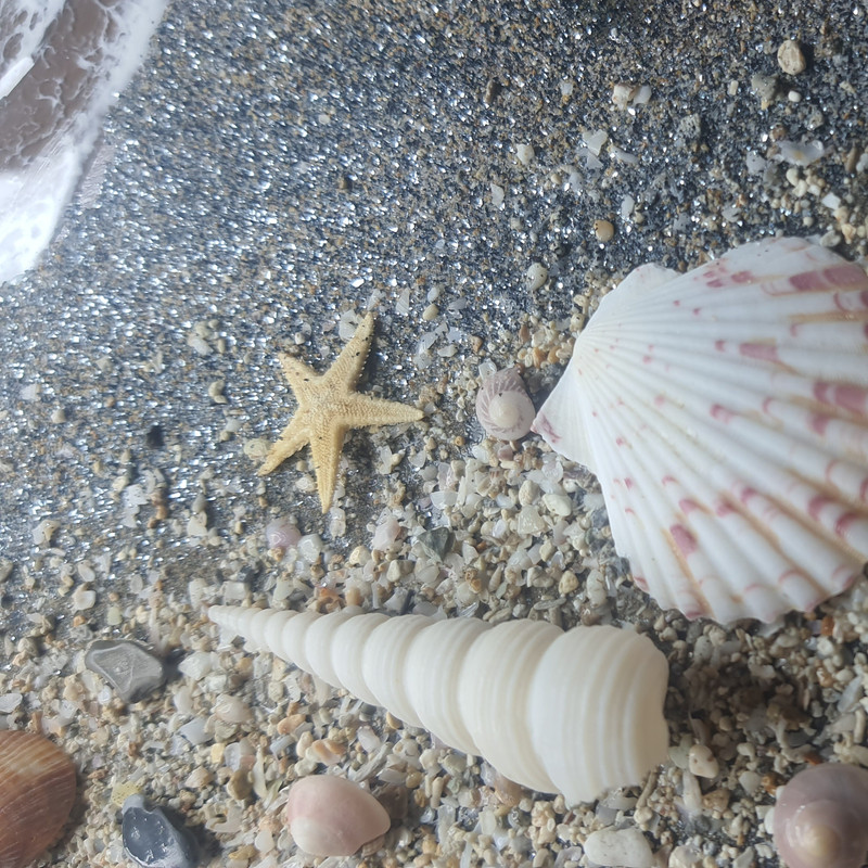 تابلو ساحل و دریا