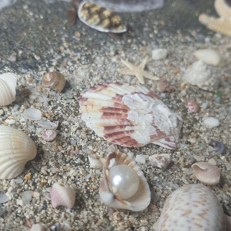 خرید تابلو چوب و رزین دریا و ساحل