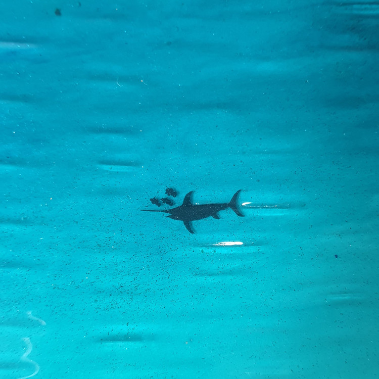 نمای نزدیک ساعت دیواری رزینی دریا و ساحل